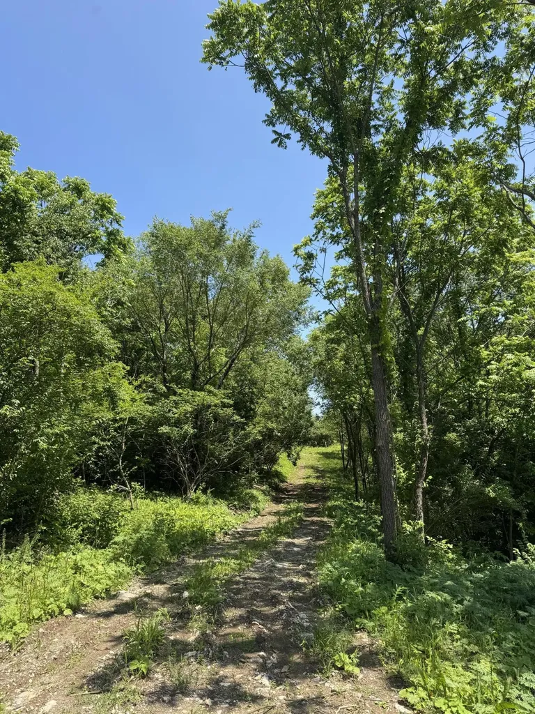 Lot - East Drive Danville KY 40422