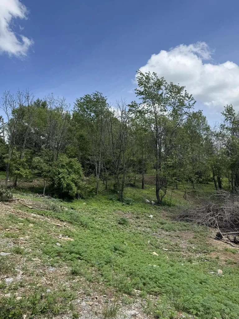 Lot - East Drive Danville KY 40422
