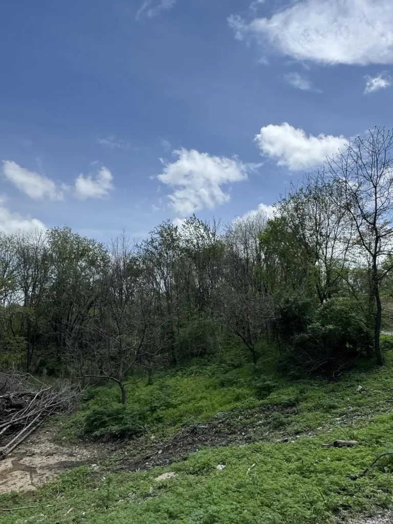 Lot - East Drive Danville KY 40422