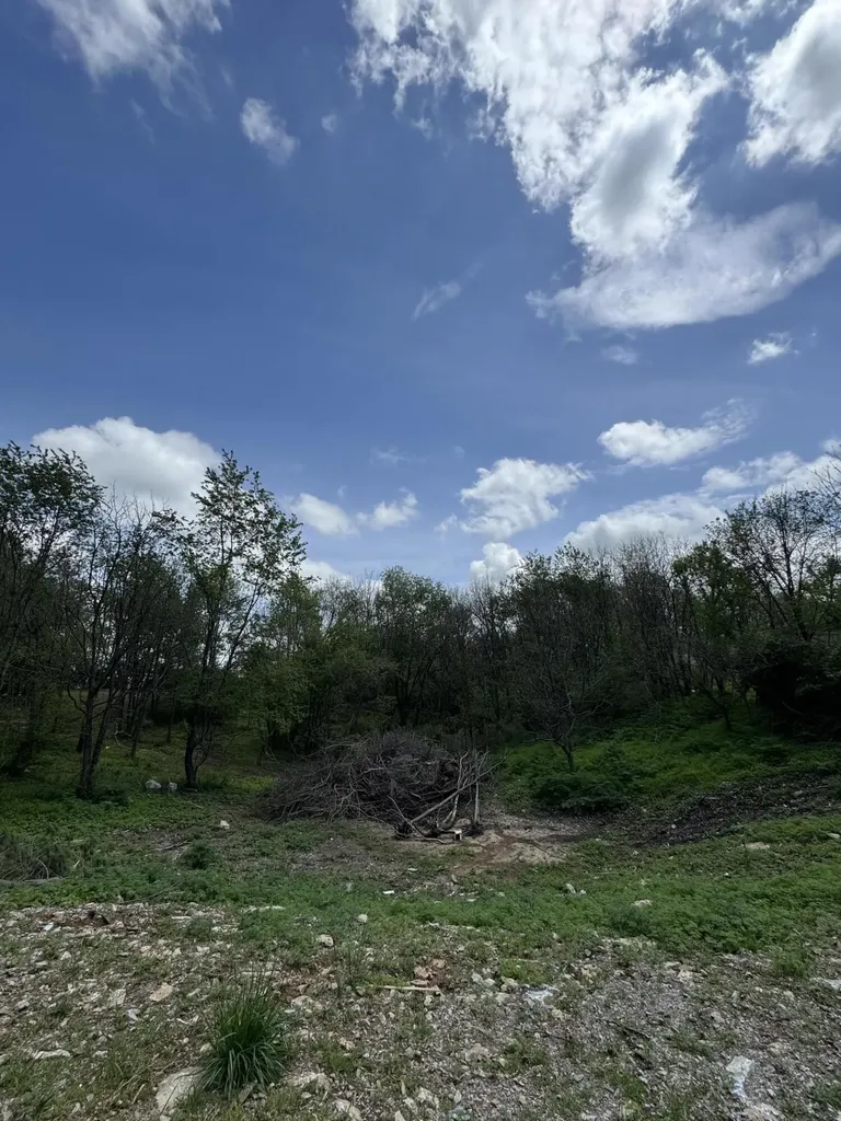 Lot - East Drive Danville KY 40422
