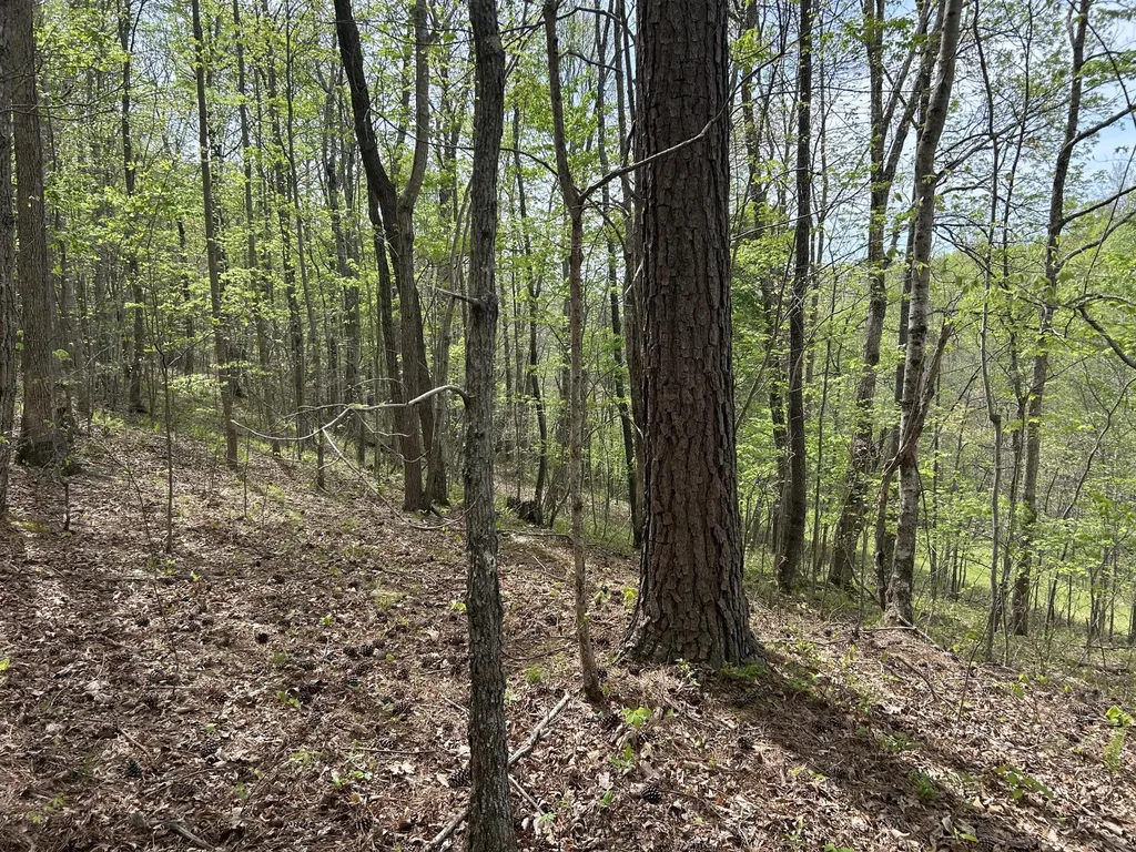 1149 Kelly Branch Road London KY 40741