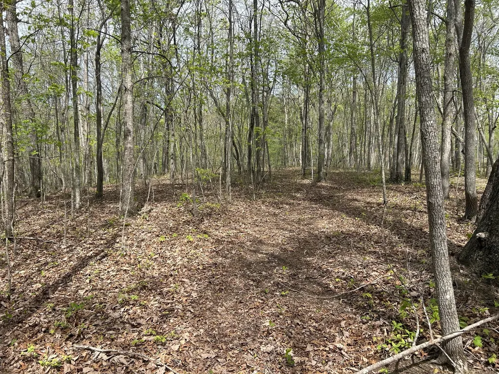 1149 Kelly Branch Road London KY 40741