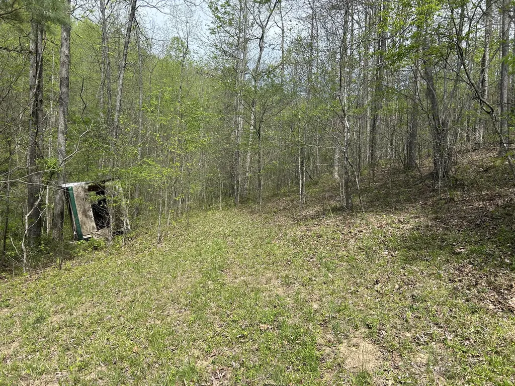 1149 Kelly Branch Road London KY 40741