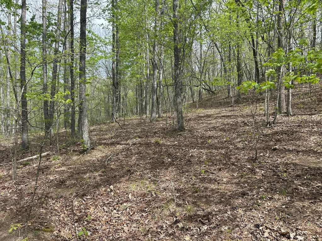 1149 Kelly Branch Road London KY 40741