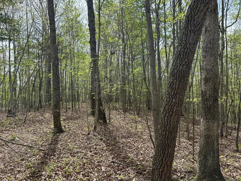 1149 Kelly Branch Road London KY 40741