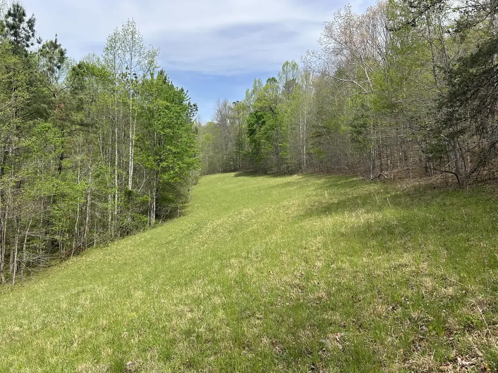 1149 Kelly Branch Road London KY 40741