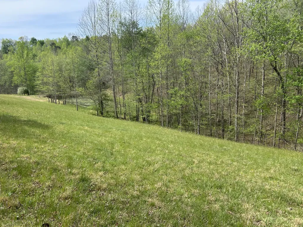 1149 Kelly Branch Road London KY 40741