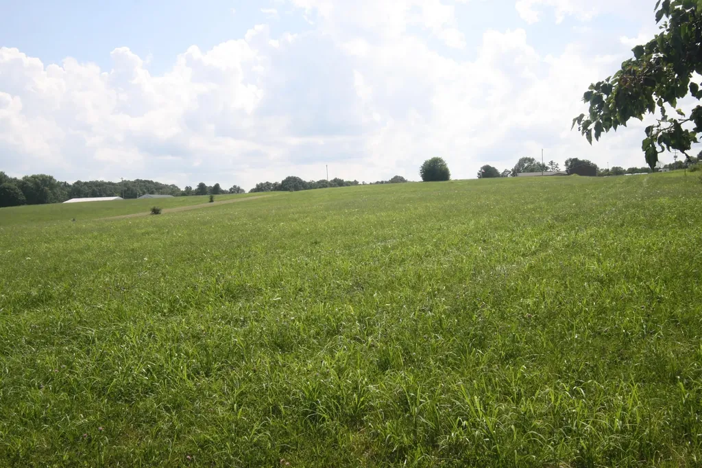 7 State Highway 290 Mckee KY 40447