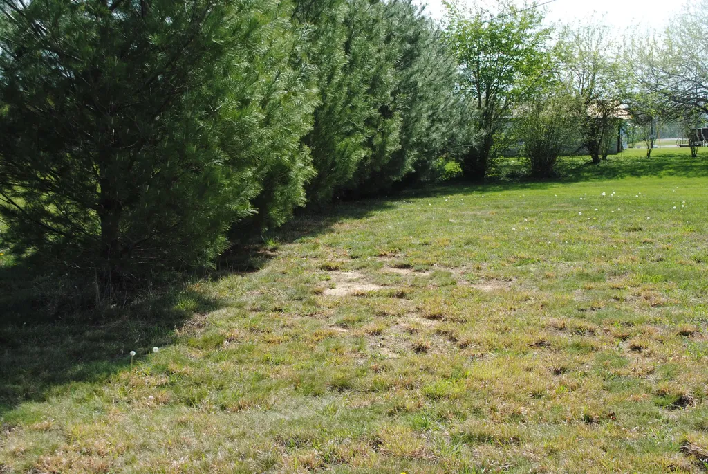 10846 Kentucky 1247 Waynesburg KY 40489