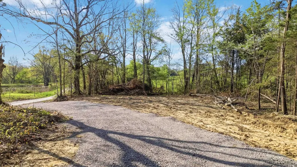 56 H King Road Strunk KY 42649