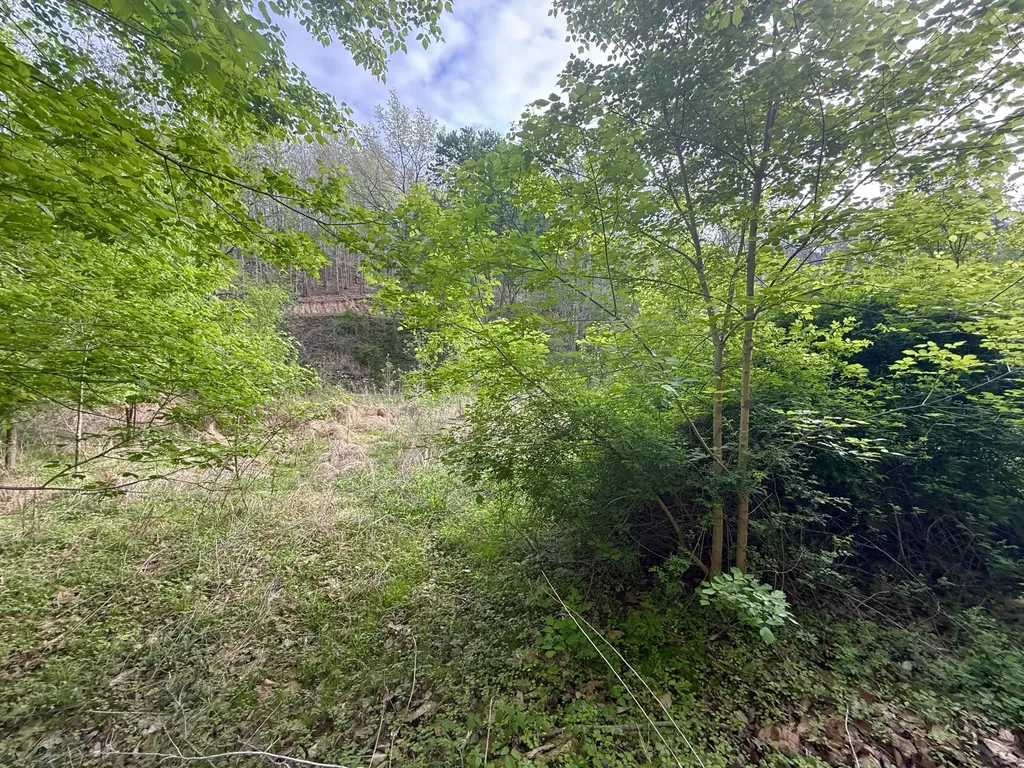 99999 Walling Road Irvine KY 40336
