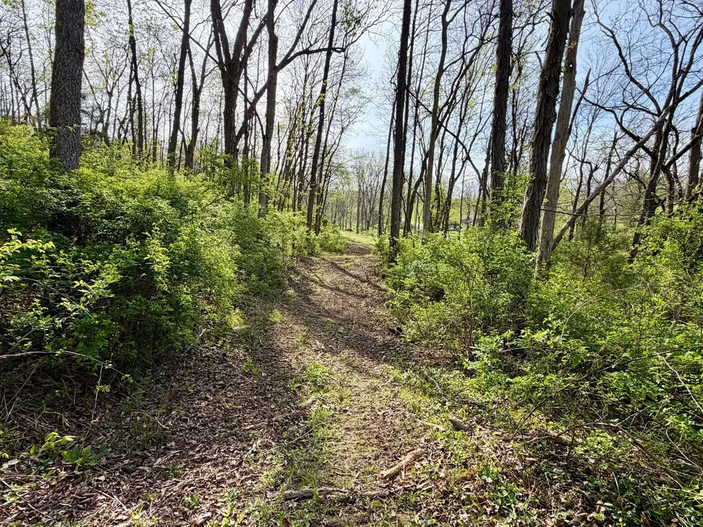 24A East Union Road Carlisle KY 40311