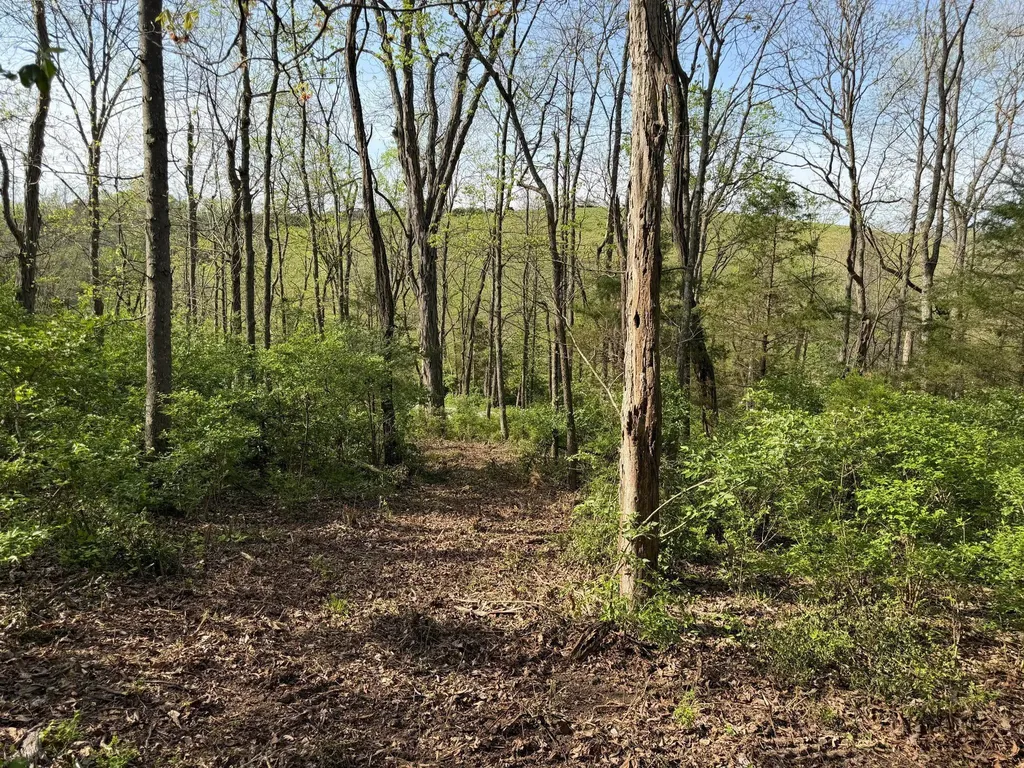 24A East Union Road Carlisle KY 40311