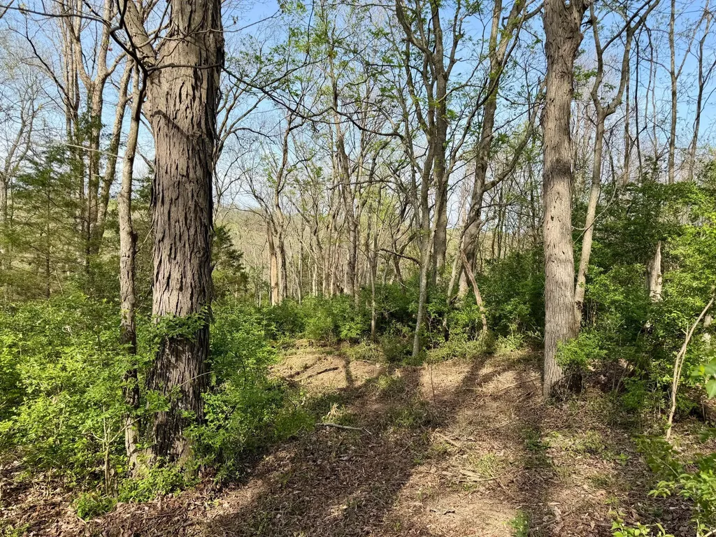 24A East Union Road Carlisle KY 40311