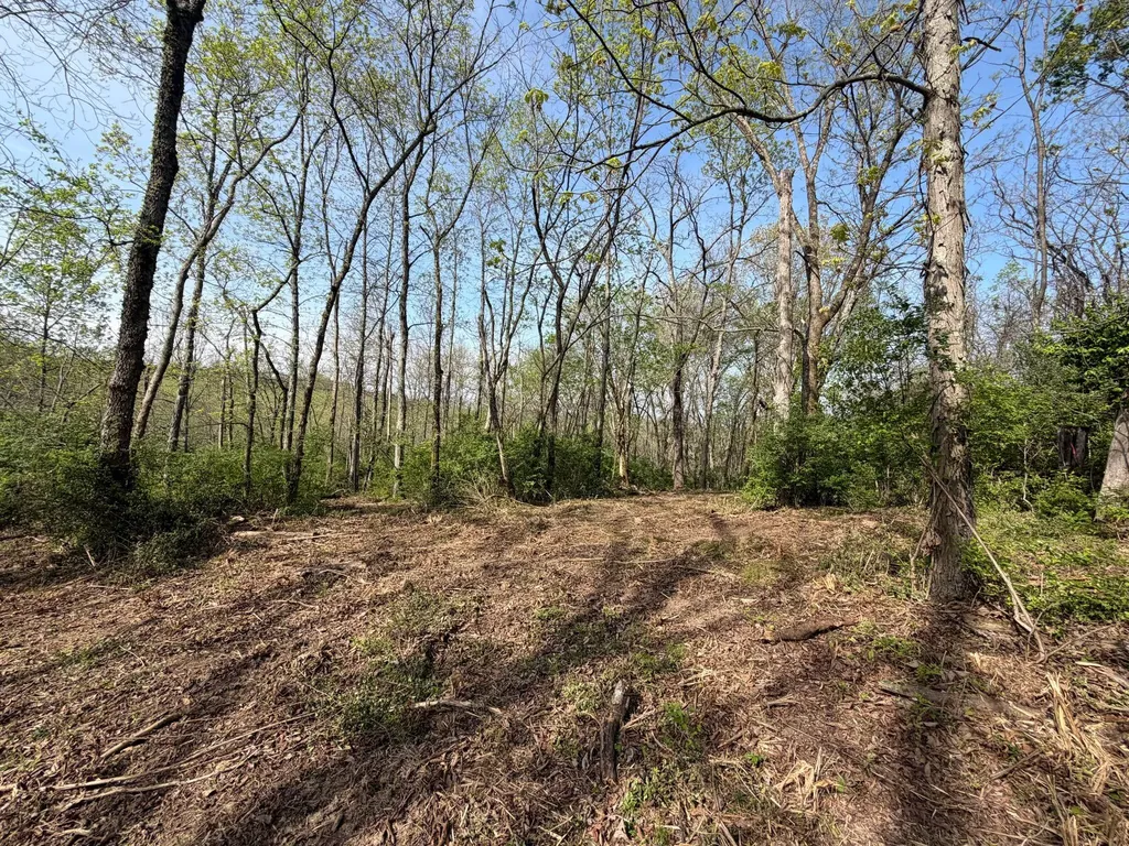 24A East Union Road Carlisle KY 40311