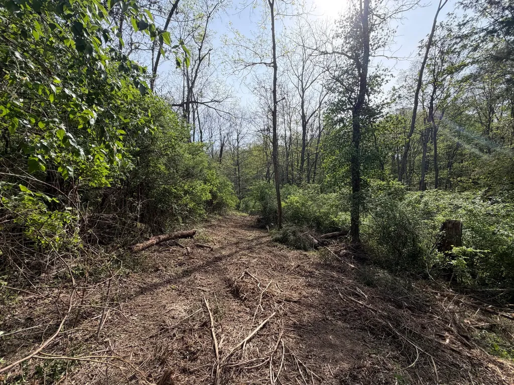 24A East Union Road Carlisle KY 40311