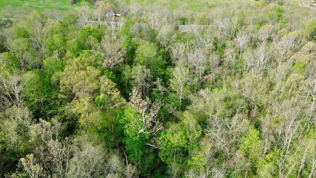 24A East Union Road Carlisle KY 40311
