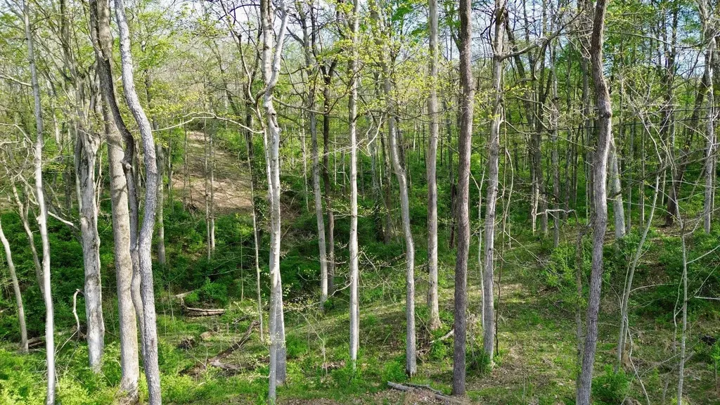 24A East Union Road Carlisle KY 40311