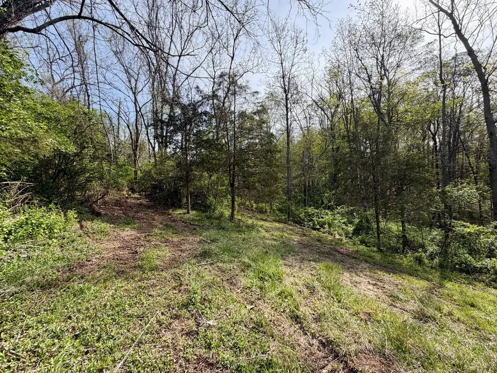 24A East Union Road Carlisle KY 40311
