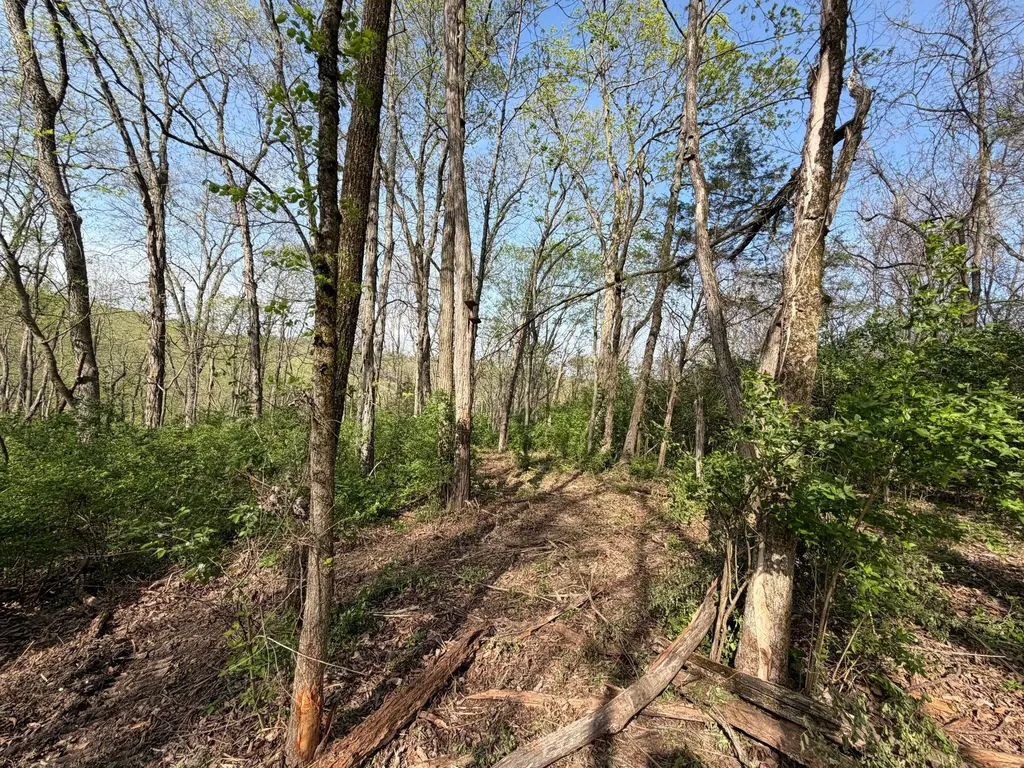24A East Union Road Carlisle KY 40311
