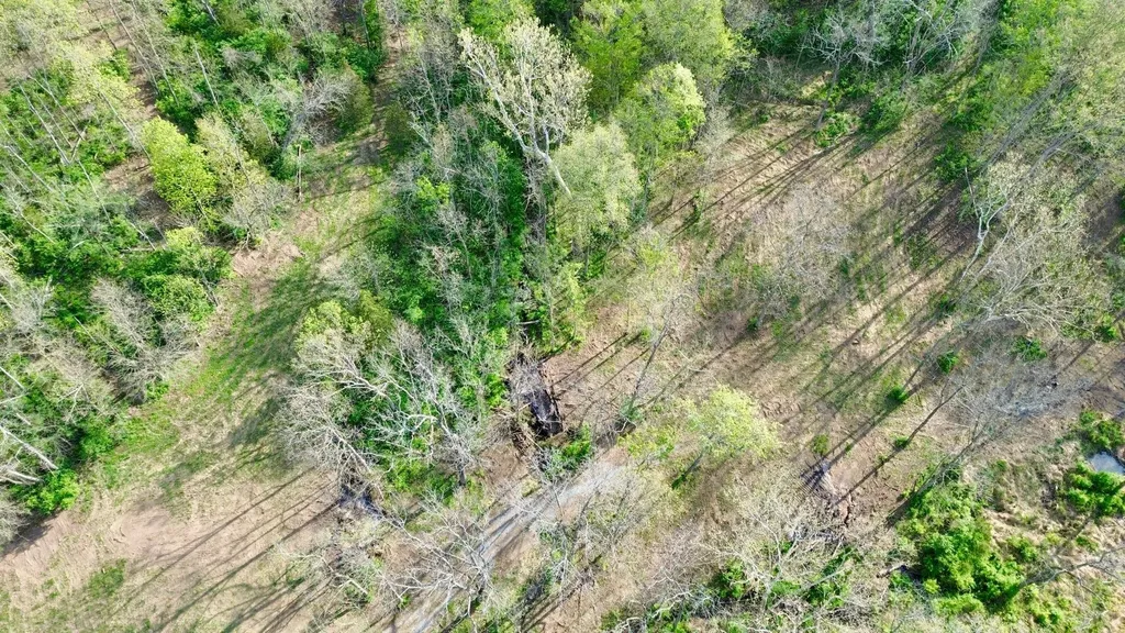 24A East Union Road Carlisle KY 40311
