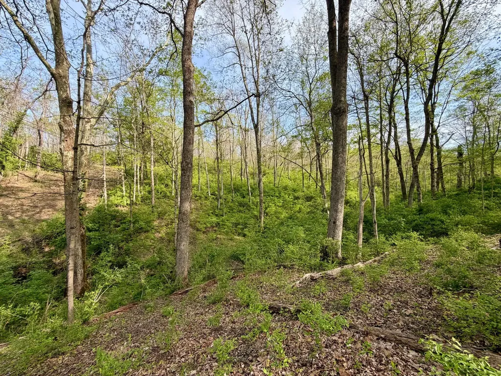 24A East Union Road Carlisle KY 40311