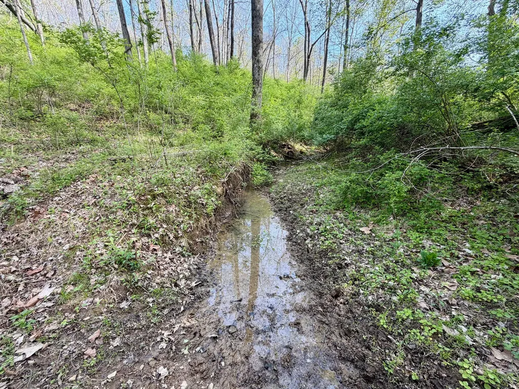24A East Union Road Carlisle KY 40311
