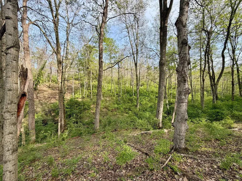 24A East Union Road Carlisle KY 40311