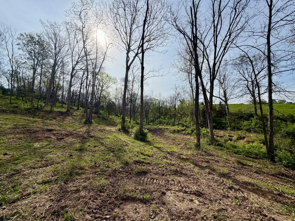24A East Union Road Carlisle KY 40311