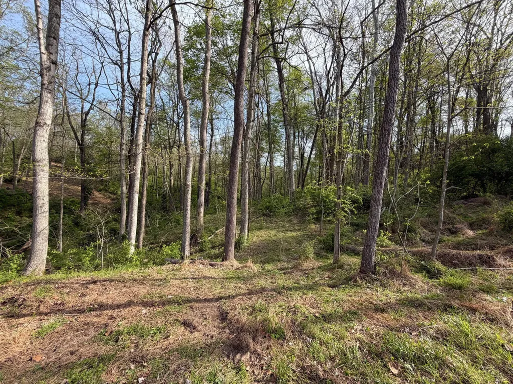 24A East Union Road Carlisle KY 40311
