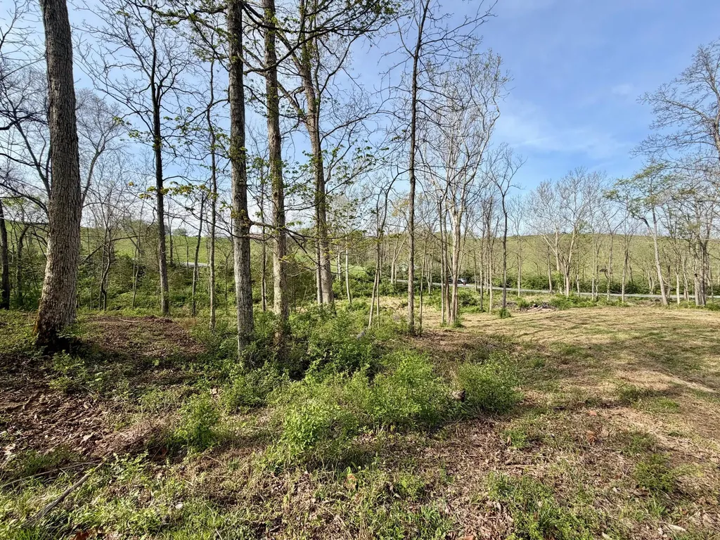24A East Union Road Carlisle KY 40311
