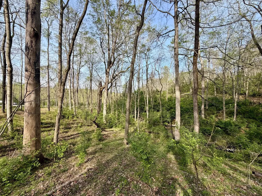 24A East Union Road Carlisle KY 40311