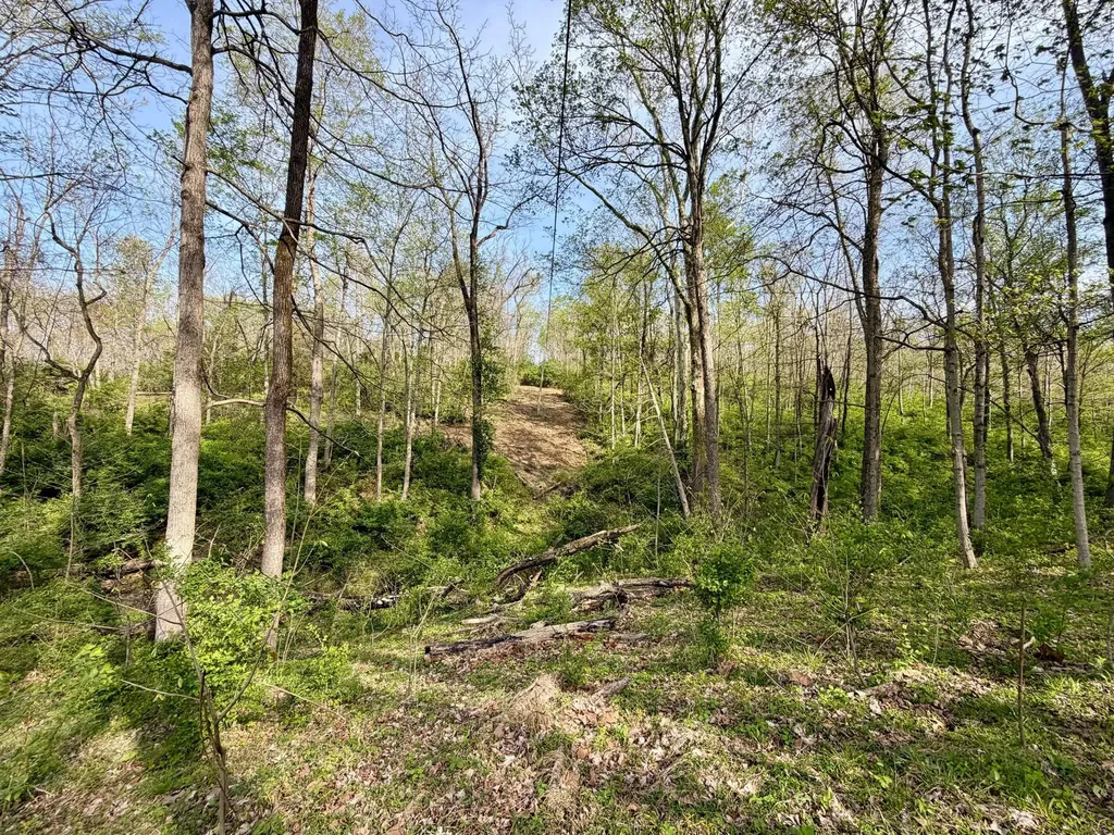 24A East Union Road Carlisle KY 40311