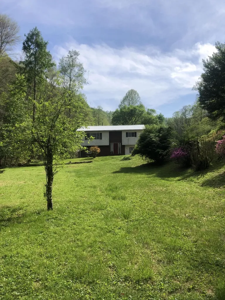 399 Hayes Branch Langley KY 41645