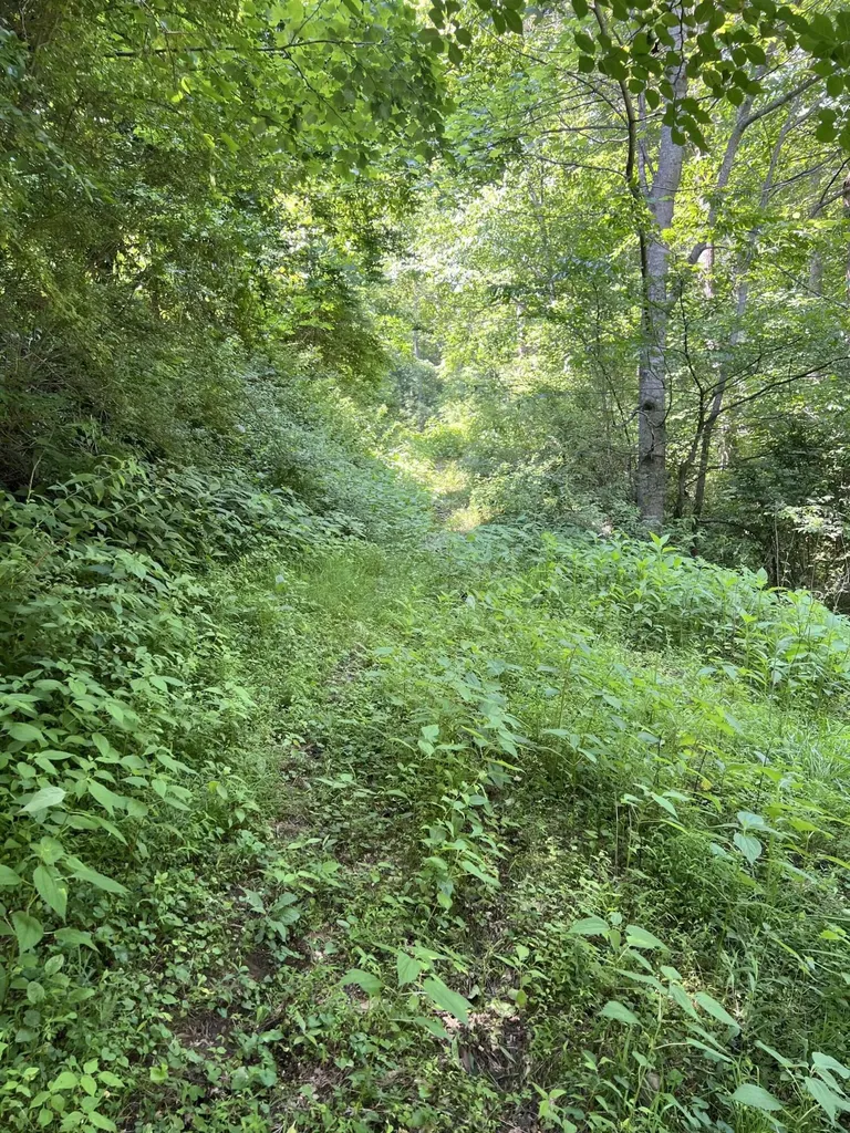399 Hayes Branch Langley KY 41645