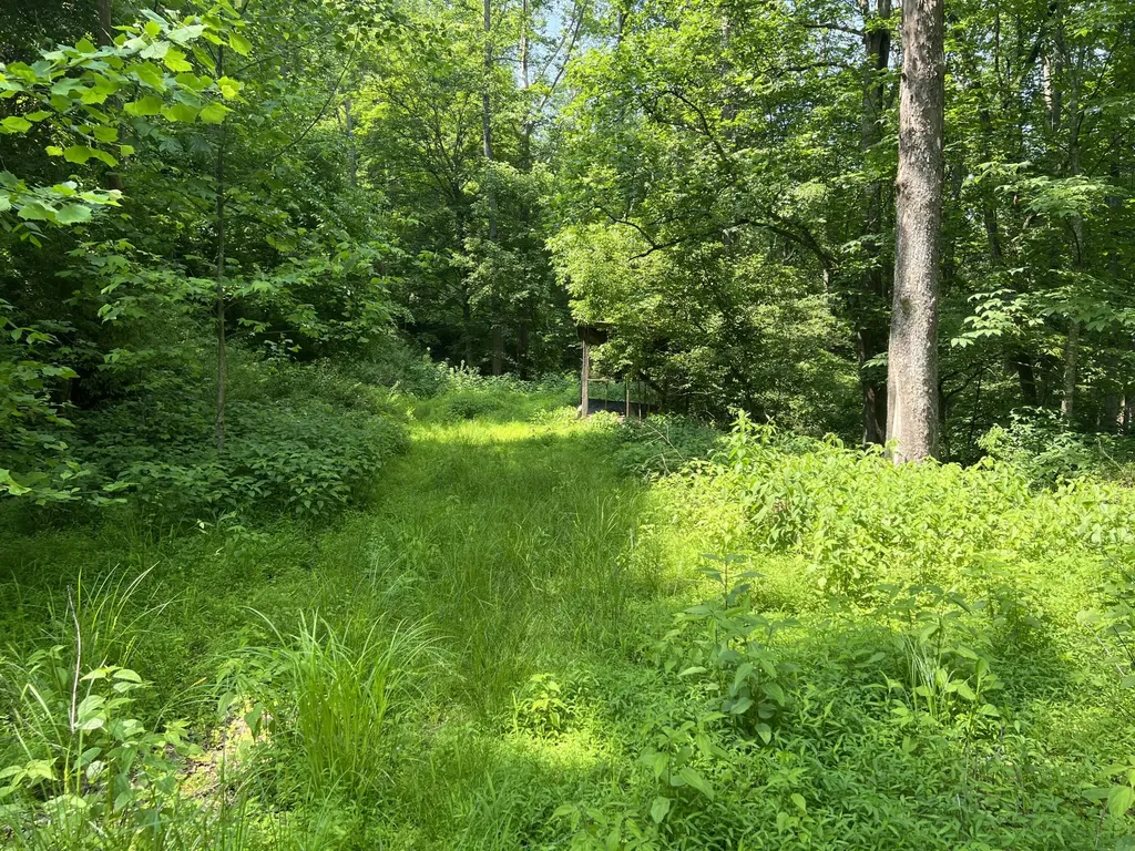 399 Hayes Branch Langley KY 41645