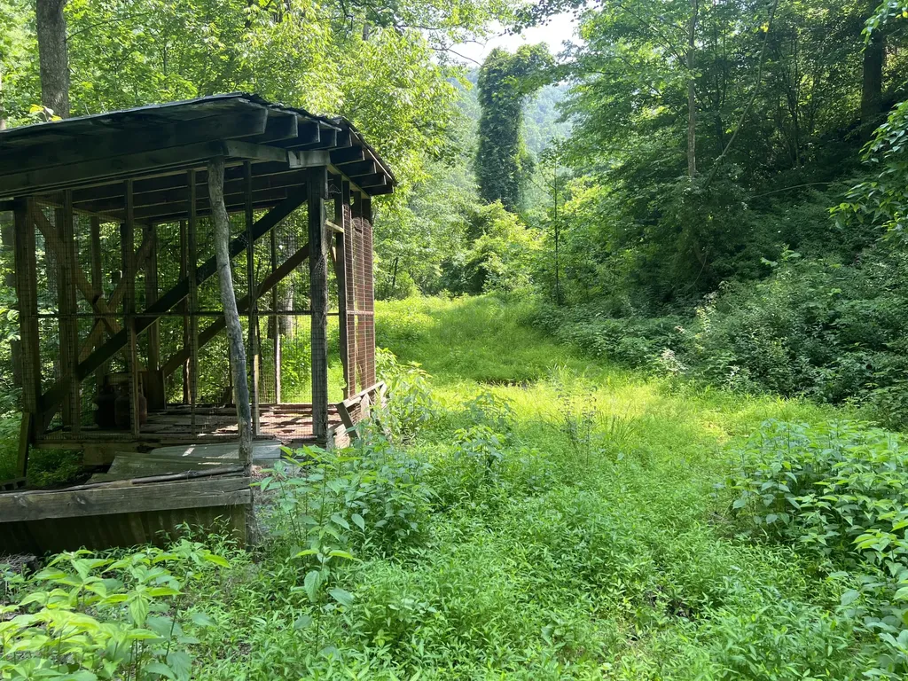 399 Hayes Branch Langley KY 41645