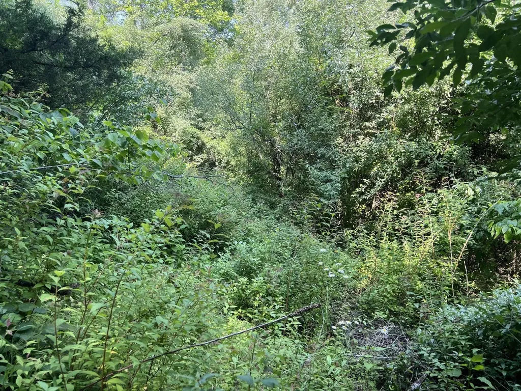 399 Hayes Branch Langley KY 41645