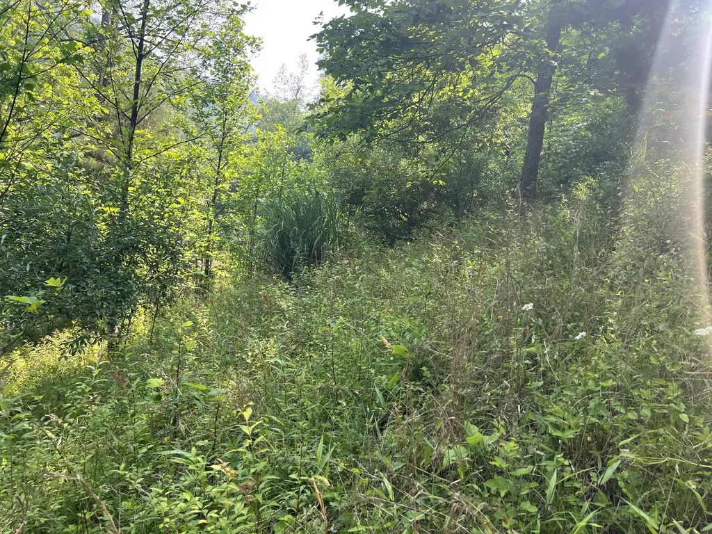399 Hayes Branch Langley KY 41645