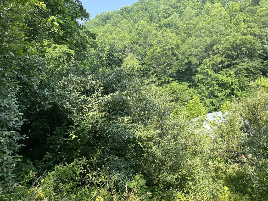 399 Hayes Branch Langley KY 41645