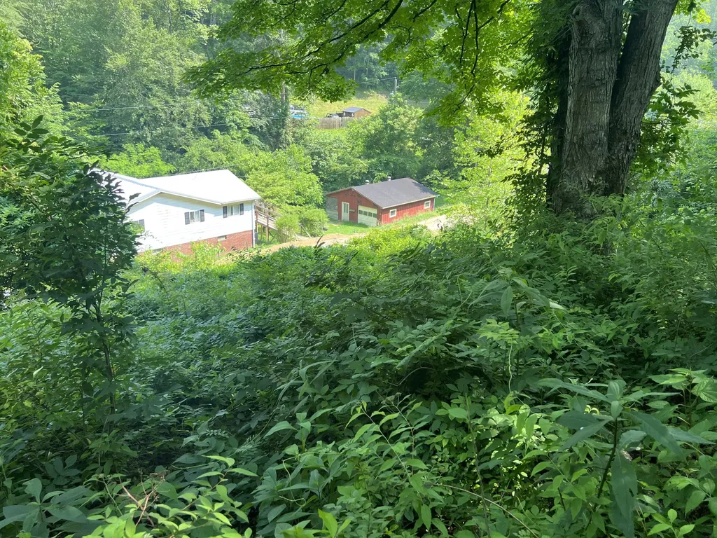 399 Hayes Branch Langley KY 41645