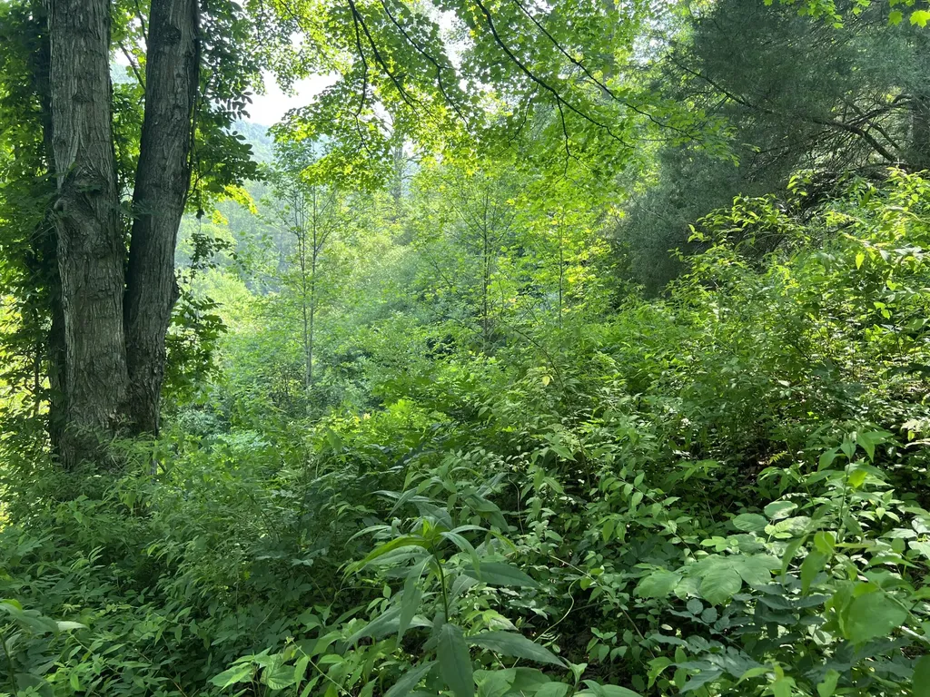 399 Hayes Branch Langley KY 41645