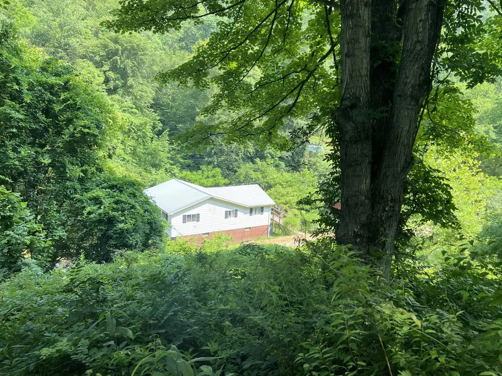 399 Hayes Branch Langley KY 41645