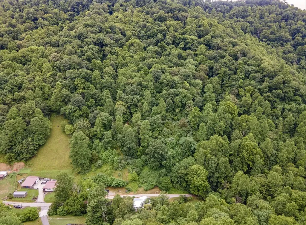 399 Hayes Branch Langley KY 41645