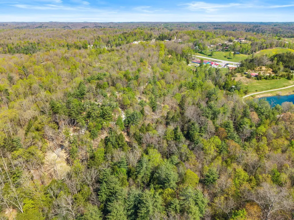 25 Joyful Springs Road Zoe KY 41397