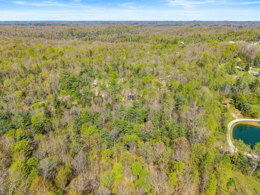 25 Joyful Springs Road Zoe KY 41397