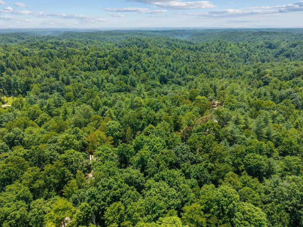 25 Joyful Springs Road Zoe KY 41397