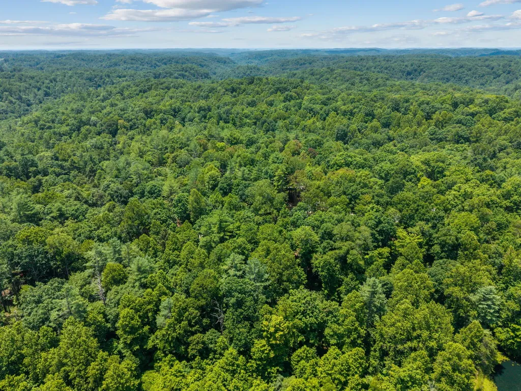25 Joyful Springs Road Zoe KY 41397