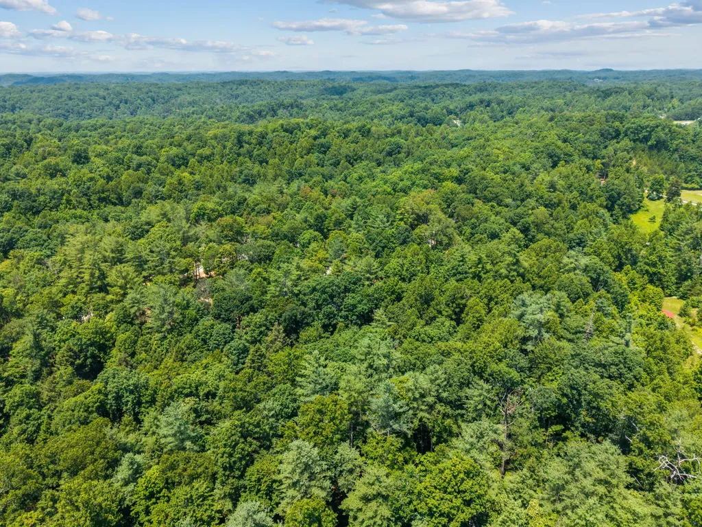 25 Joyful Springs Road Zoe KY 41397