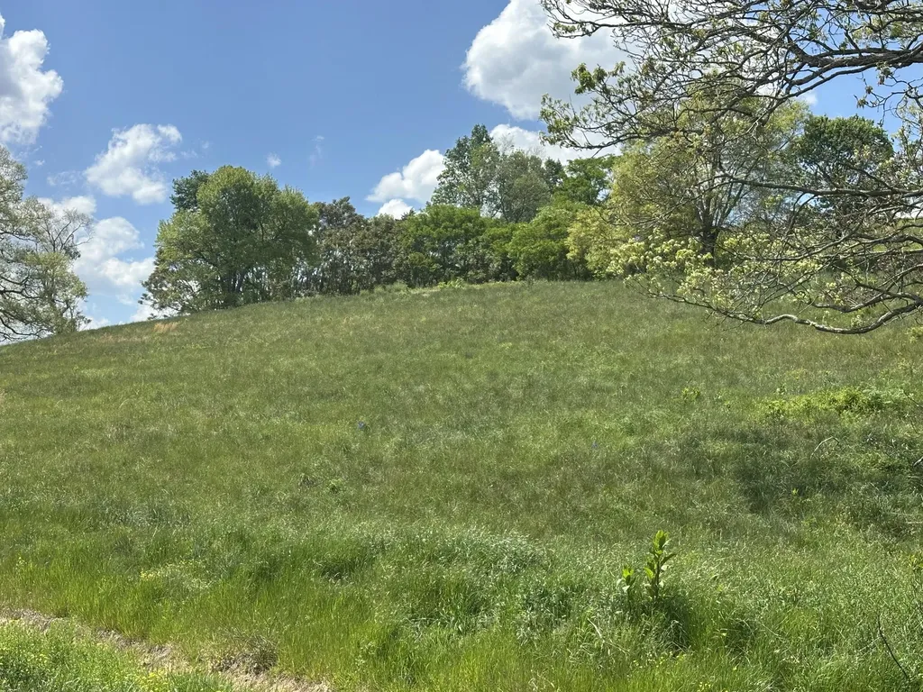 848 Pittsburg London KY 40741